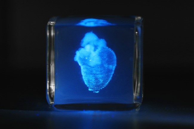 Heart, 3D printing