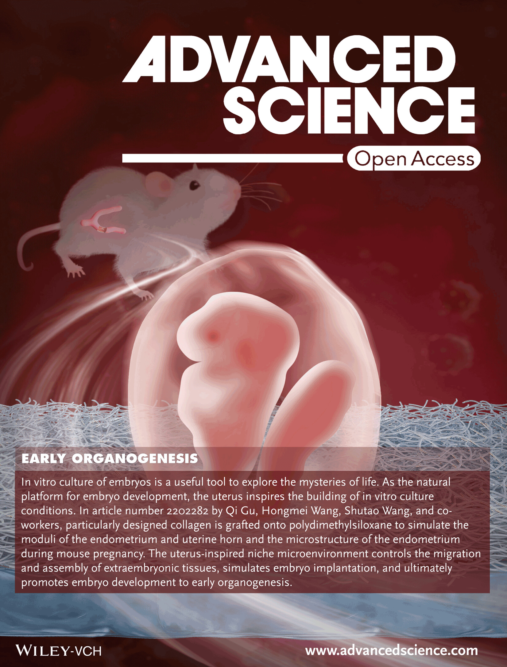 Early Organogenesis