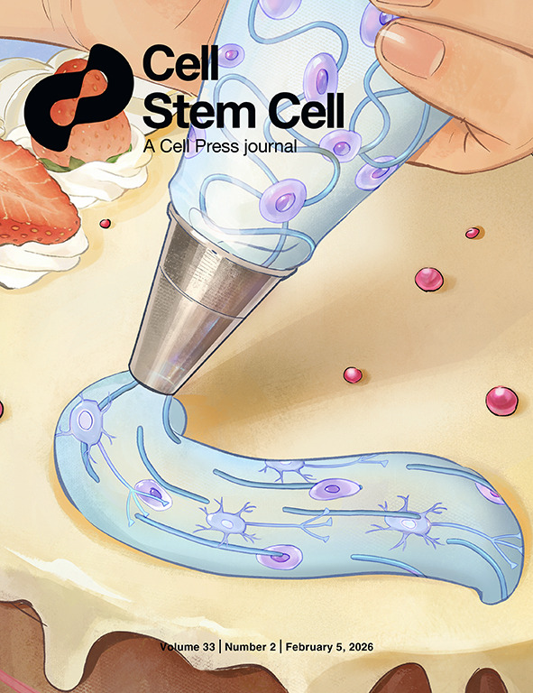 Stem Cell Bioprinting